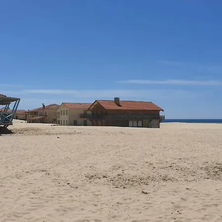 Maison Neuve Proche Du De Leon Et De L'ocean Vielle-Saint-Girons