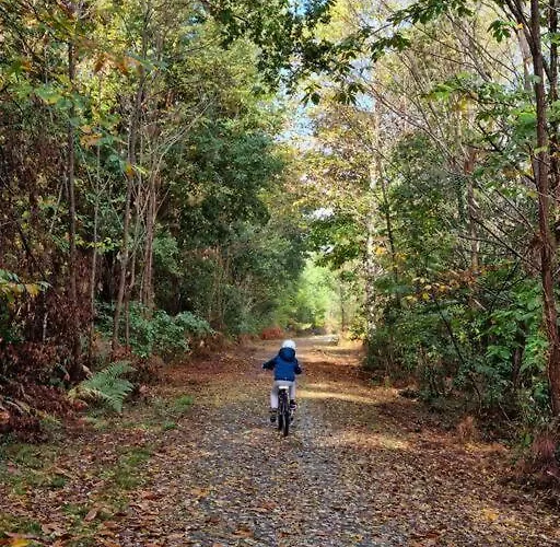 Villa Maison Recent Proche Du De Leon Et De L'ocean *