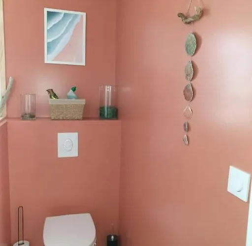 Maison Recent Proche Du De Leon Et De L'ocean Vielle-Saint-Girons