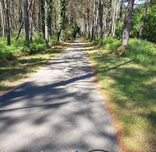 Villa Maison Recent Proche Du De Leon Et De L'ocean *