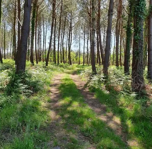 Maison Recent Proche Du De Leon Et De L'ocean Villa